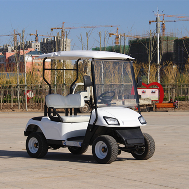 48v AC Motor Latest Design Electric Car HT-A2 Electric Golf Buggy Cart 2 Seats CE certificate golf cart