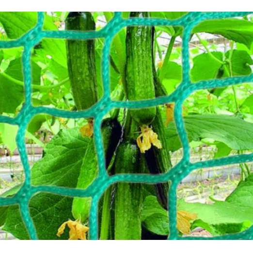 Fruits & Vegetables Tomato Plants Trellis Netting for Climbing Trellis Netting for Cucumber