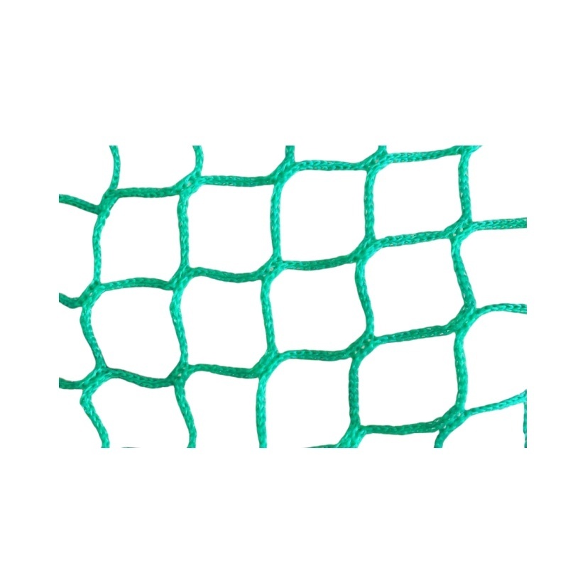 Fruits & Vegetables Tomato Plants Trellis Netting for Climbing Trellis Netting for Cucumber