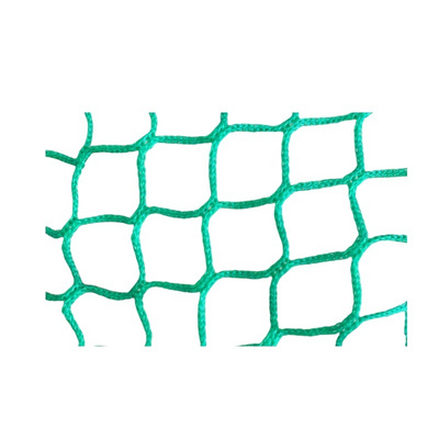 Fruits & Vegetables Tomato Plants Trellis Netting for Climbing Trellis Netting for Cucumber