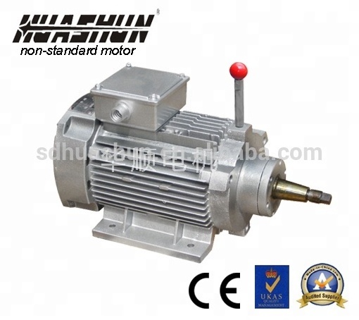 WYD Series Two-speed Grinding Motor