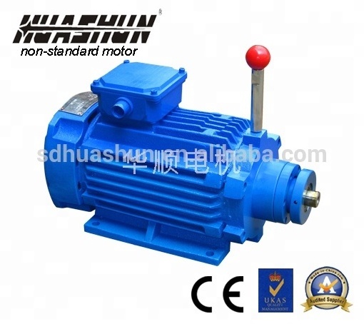 WYD Series Two-speed Grinding Motor