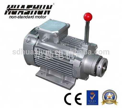 WYD Series Two-speed Grinding Motor