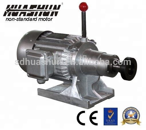 WYD Series Two-speed Grinding Motor