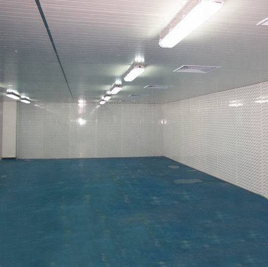 Modular quick freezer cold storage room for pig slaughterhouse