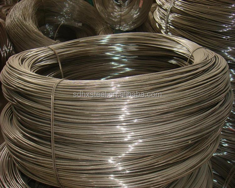 16 Gauge Stainless Steel Wire by the Foot for Making Bird Toys