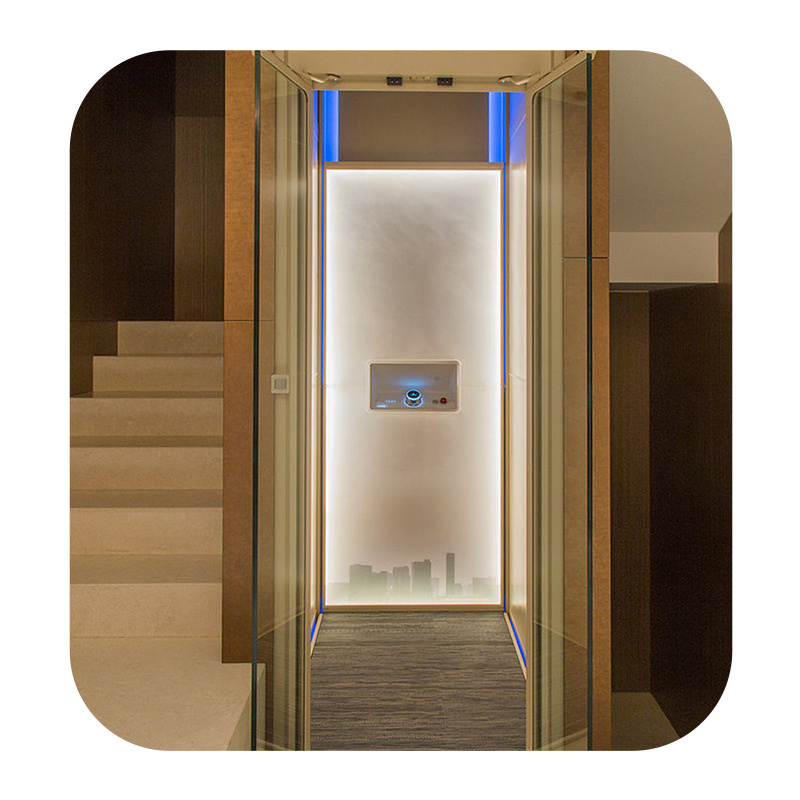 Residential Home Elevator Panoramic Glass Large Capacity  Passenger Elevator home villa elevator