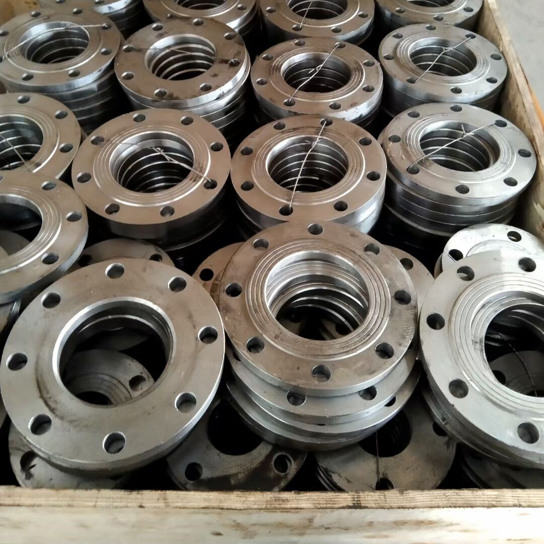 China wholesale price Carbon Steel Flange Forged Steel Blind Flange