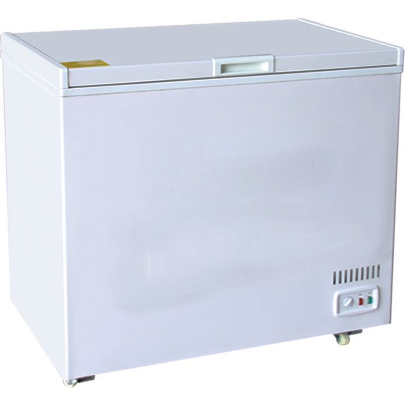 ICEAGE brand Home Commercial Deep Chest Freezer For Frozen Food Fish With Lock