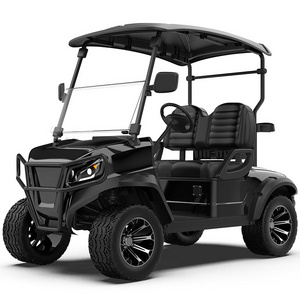 High Quality Off-road Club 48V Cheap Electric Golf Carts 2 Seater Golf Buggy Price