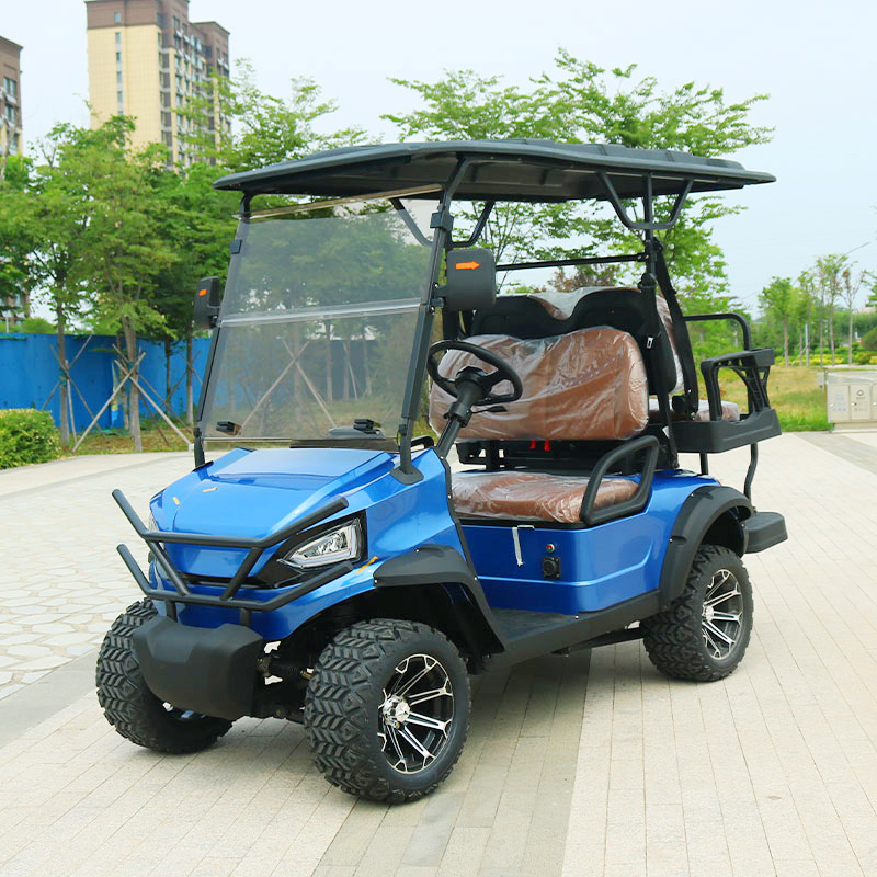 China Low Price 2 Seater Golf Carts Mini Street Legal 7.5kw Electric Golf Cart with Free Golf Bags