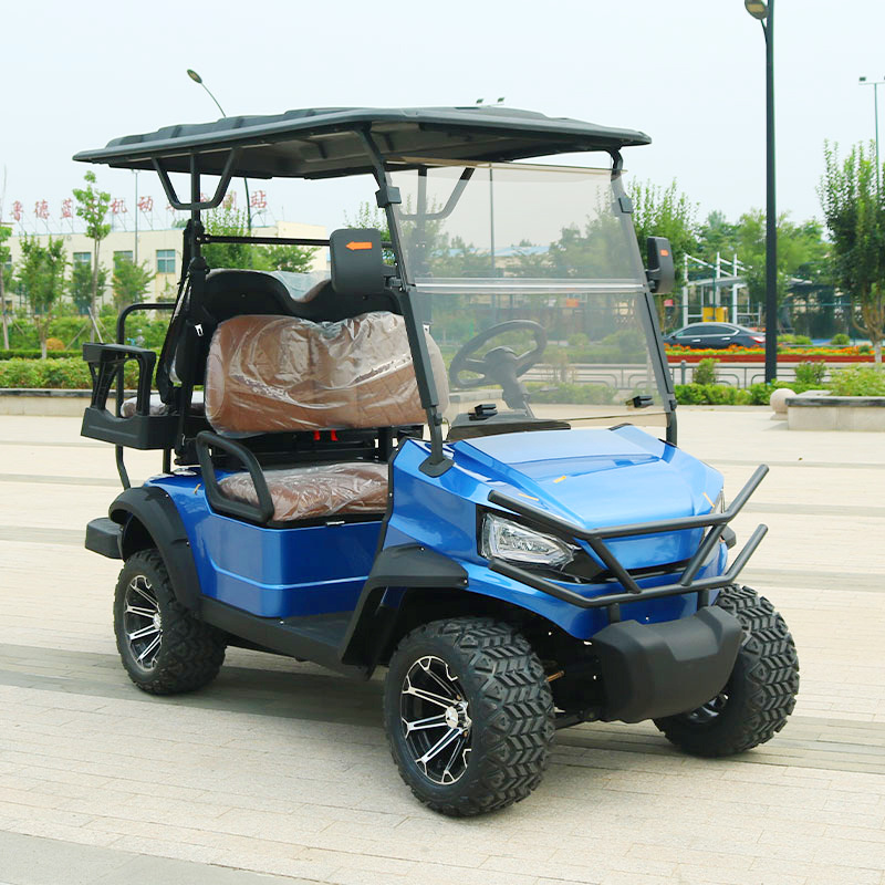 China Low Price 2 Seater Golf Carts Mini Street Legal 7.5kw Electric Golf Cart with Free Golf Bags