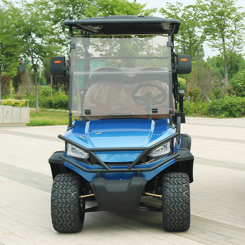 China Low Price 2 Seater Golf Carts Mini Street Legal 7.5kw Electric Golf Cart with Free Golf Bags