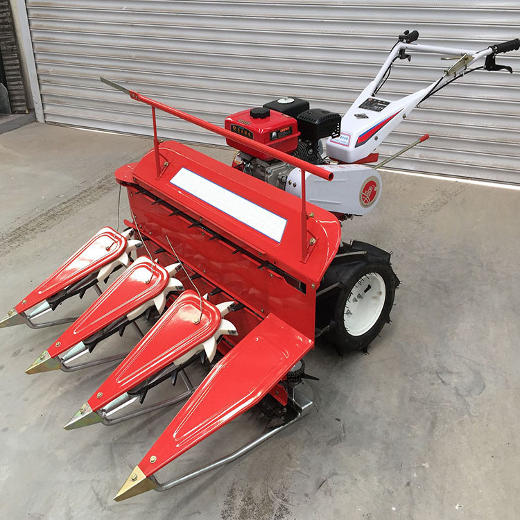 Hand-held Gasoline Rice Cutting Harvesting Machine Rice Shaving Equipment Soybean Corn Maize Harvester Mini Rice Harvester