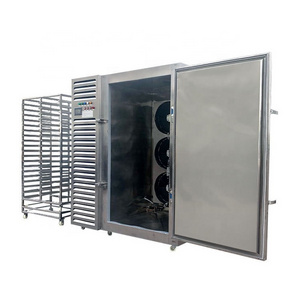 Industrial stainless steel 1100 L fast blast freezer quick freezing cabinet frozen french fries freezer machine