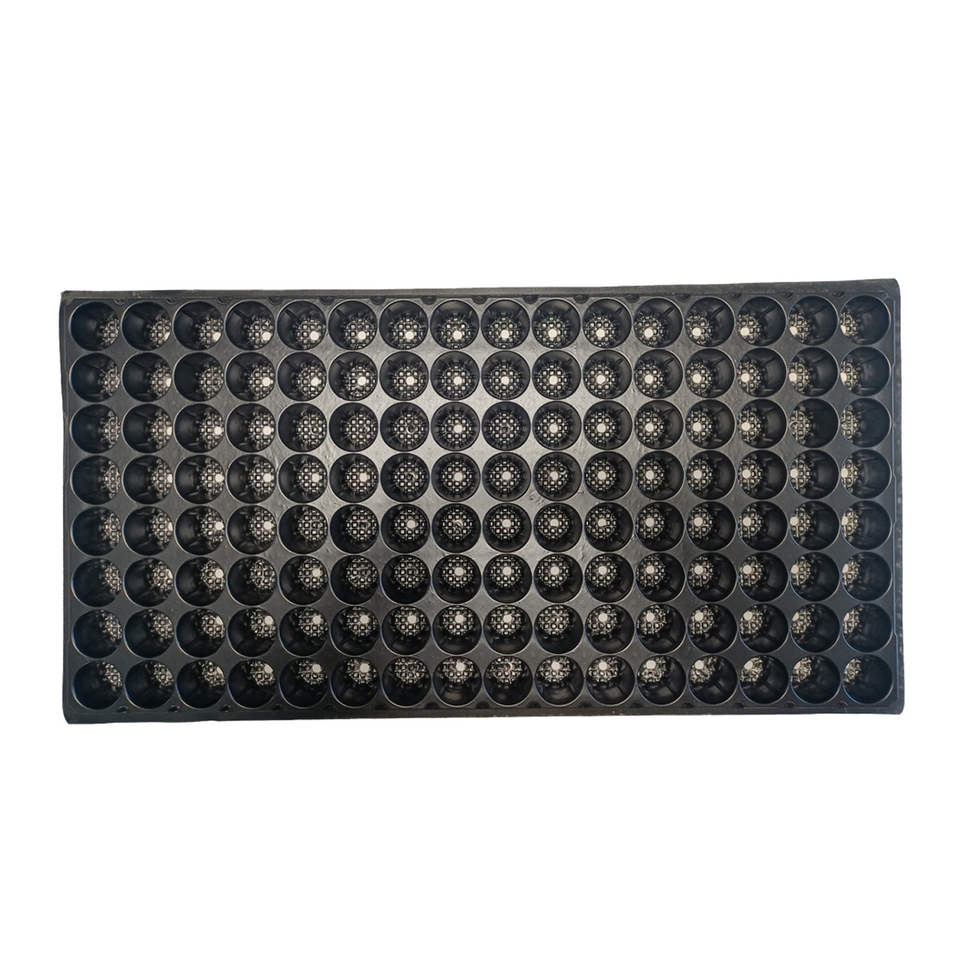 128 Round Holes Black Color Seed Tray, Plant Tray, Plug Tray for Greenhouse