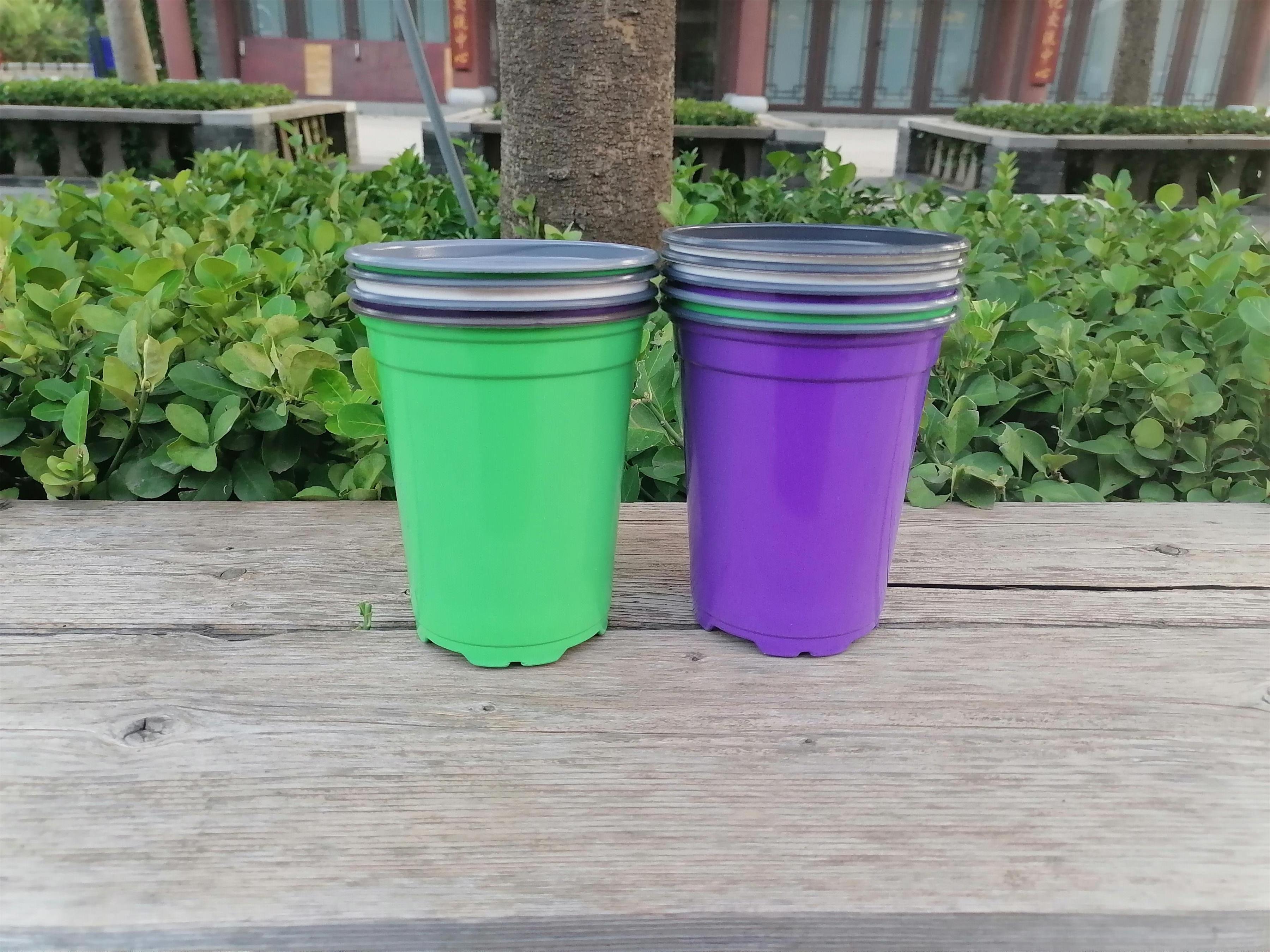 Manufacturer PP Plastic Double Color Grow Plant Seed Cactus Tall Thin Flower Pot for Greenhouse