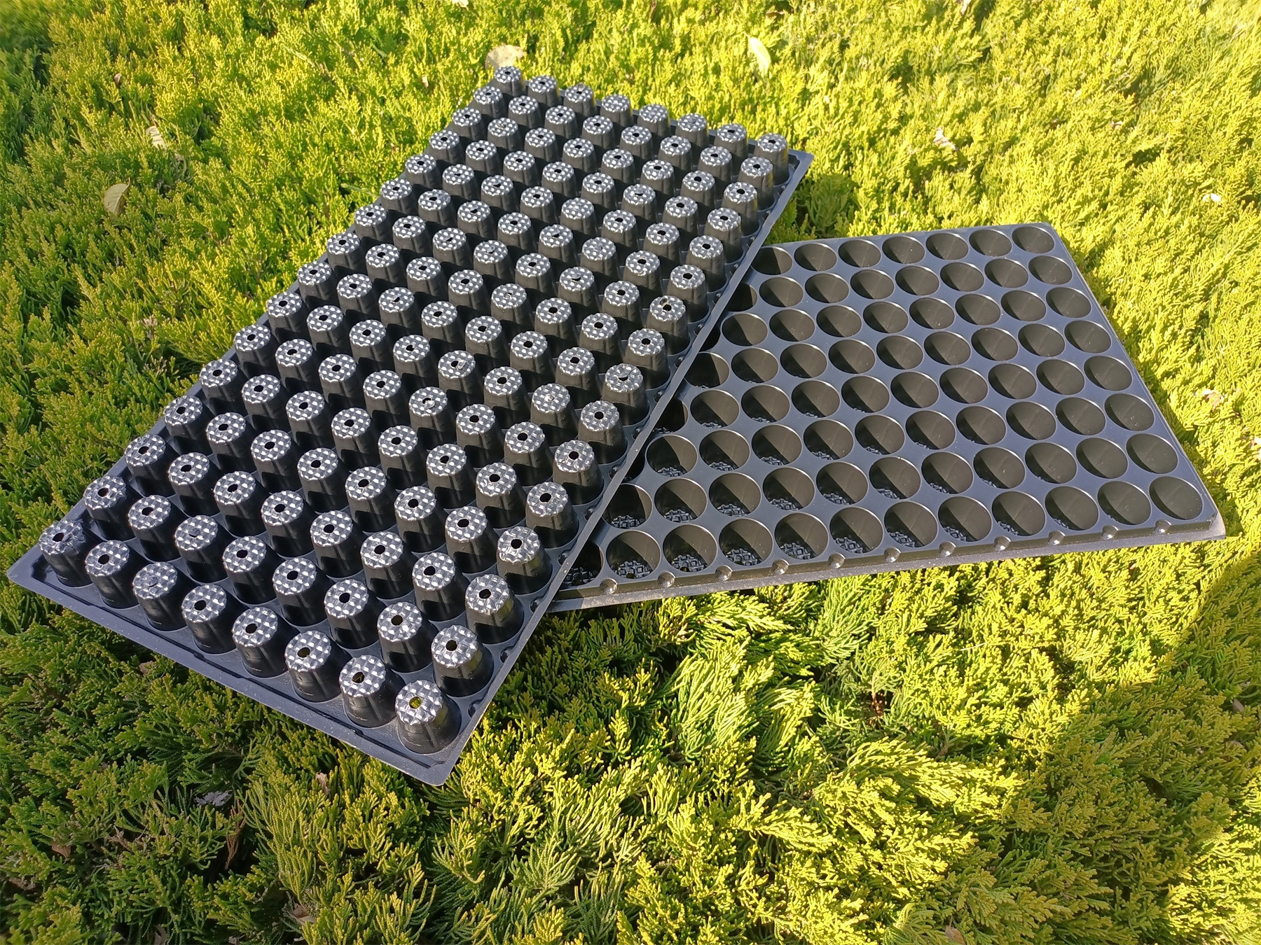 128 Round Holes Black Color Seed Tray, Plant Tray, Plug Tray for Greenhouse