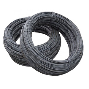 Promotionhot Selling Construct Wire 16 18 20 21 22 Gauge Black Iron Twisted Soft Annealed Wire