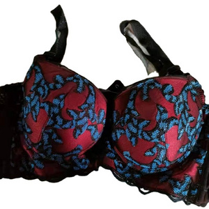 used underwear    second hand bra