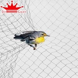 Cheap pe monofilament anti  Bird hunting catching net