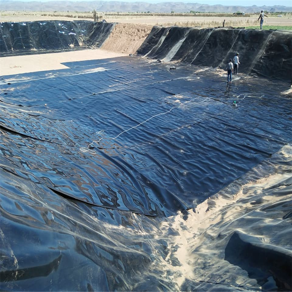 Blue color agriculture geomembrane hdpe sheets for preformed fish pond liners in kenya