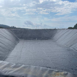 Outdoor Flexible Plastic Waterproof Polyethylene Geomembrane Aquaculture Fish Farm Pond Liners 0.5mm Geomembrane HDPE Price