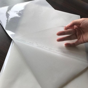 A3 self adhesive vinyl transparent pvc film roll for sticker label papers