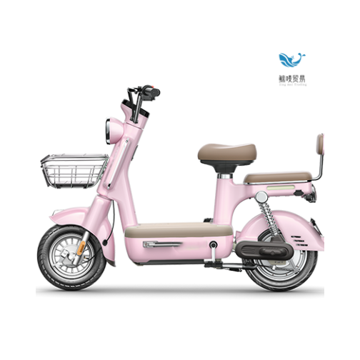 Plastic cheap bikes for adults 24 inch electric bike sidecar with low price