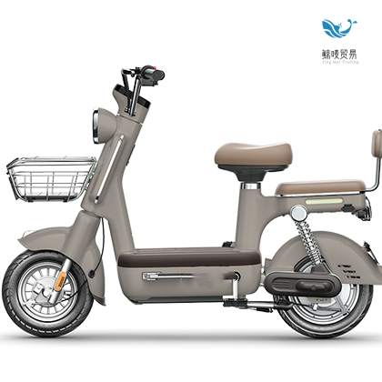 Plastic cheap bikes for adults 24 inch electric bike sidecar with low price