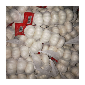 Suppliers Import Chinese Garlic Seeds For Planting China Fresh 3P Garlic For Sale