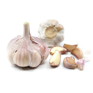 2023 New Hot Sale China Organic 4.5 - 6.5 Cm Wholesale With GLOBAL GAP Non-Peeled Purple Solo Fresh Garlic Export