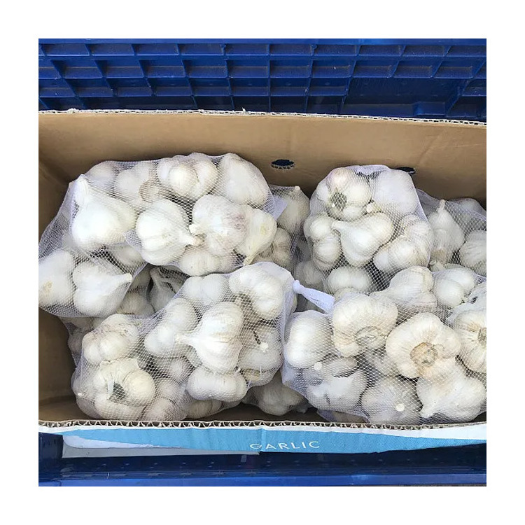 Chinese New Crop Ail Supply As Garlic Normal White And Pure White Alho Ajo From Wholesale Fresh Garlic Manufacturer