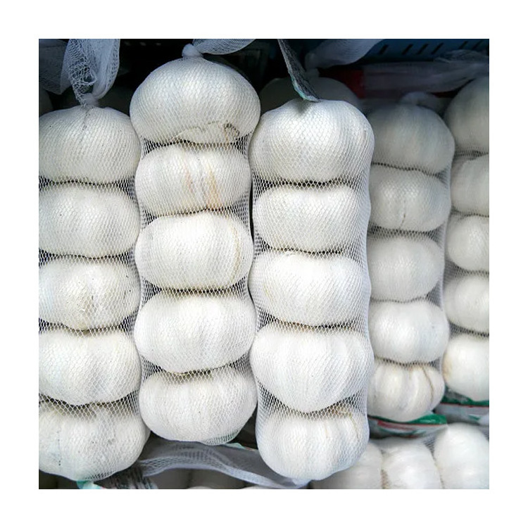 2023 New Hot Sale China Organic 4.5 - 6.5 Cm Wholesale With GLOBAL GAP Non-Peeled Purple Solo Fresh Garlic Export