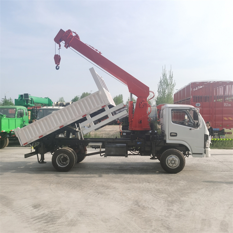 China technical Small Truck Cran 3 ton truck mounted crane Lorry Truck Crane