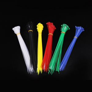 chinese wholesale price custom package different sizes new material quality nylon 66 cable tie wire tie