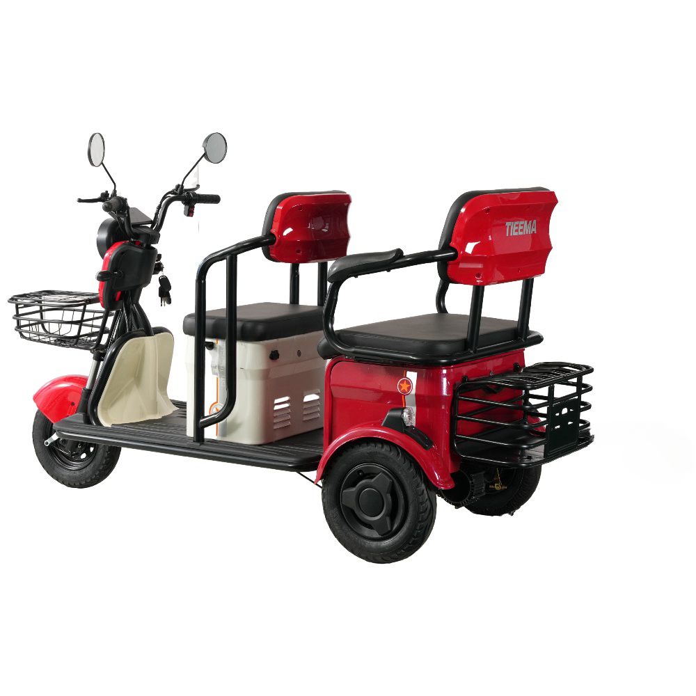 New Three-Wheel Mobility Electric Tricycle Enclosed Electric Trike with Weatherproof Cabin for The Elderly