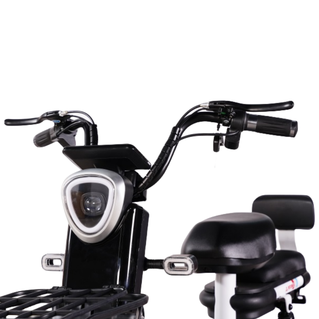 Hot Sale easy ride electric bike kit electric bike adults electric mini bike electric bike electric bicycle for adult electric