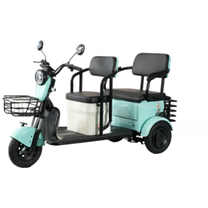 New Three-Wheel Mobility Electric Tricycle Enclosed Electric Trike with Weatherproof Cabin for The Elderly