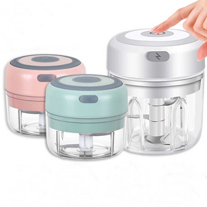 Kitchen Mini Electric Garlic Chopper USB Charging Vegetable Crusher Garlic Press With Slicer