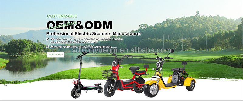 Powerful 1200w*2 Dual motor 10 inch Off Road Tire 48V/52V Folding Electric Scooter For Adults Two Wheels Foldable E scooters