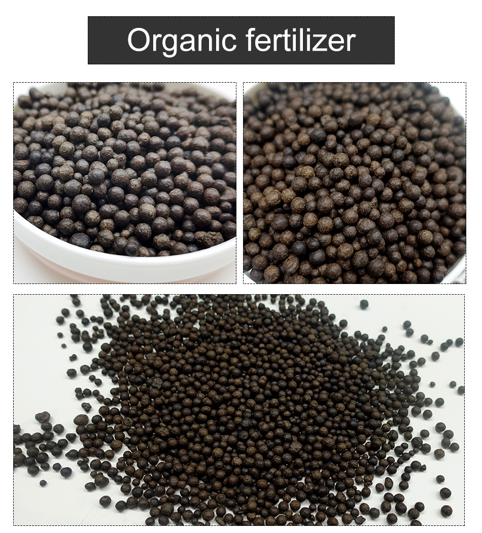 High Quality Agricultural Animal Droppings Bat Guano Organic Fertilizer Amino Acid Fertilizer