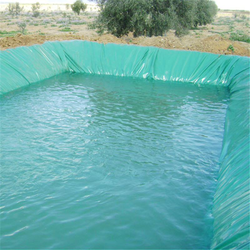 1.0mm ted bakernatural lagoon ponds men geomembrane plastic fish pool tresluces liner