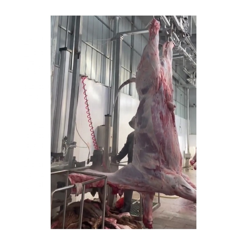 Ritual Cattle Slaughter Halal Slaughter Equipment Butchery Machinery