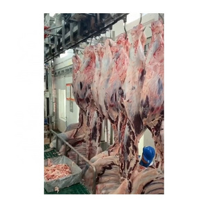 Ritual Cattle Slaughter Halal Slaughter Equipment Butchery Machinery