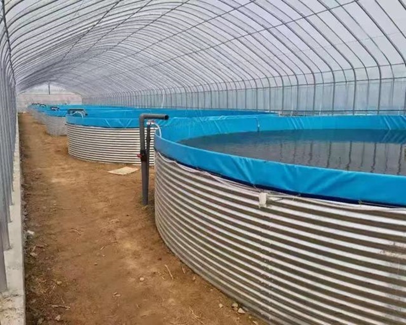 SDM Super quality aquaculture fish tanks above ground fish pond