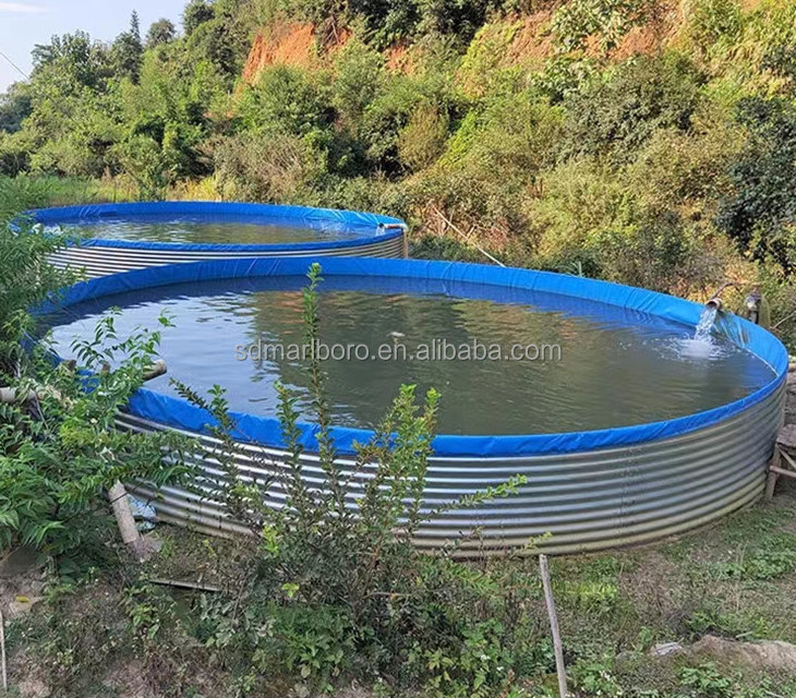 10000 Liter Aquaculture Tank Commercial Uv Sterlizer Fish Tank For Aquaculture