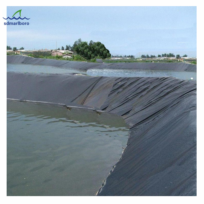 SDM Geomembrane 1Mm Fish Pond Lining Epdm Rubber Pond Liner Membrane Pond Liners