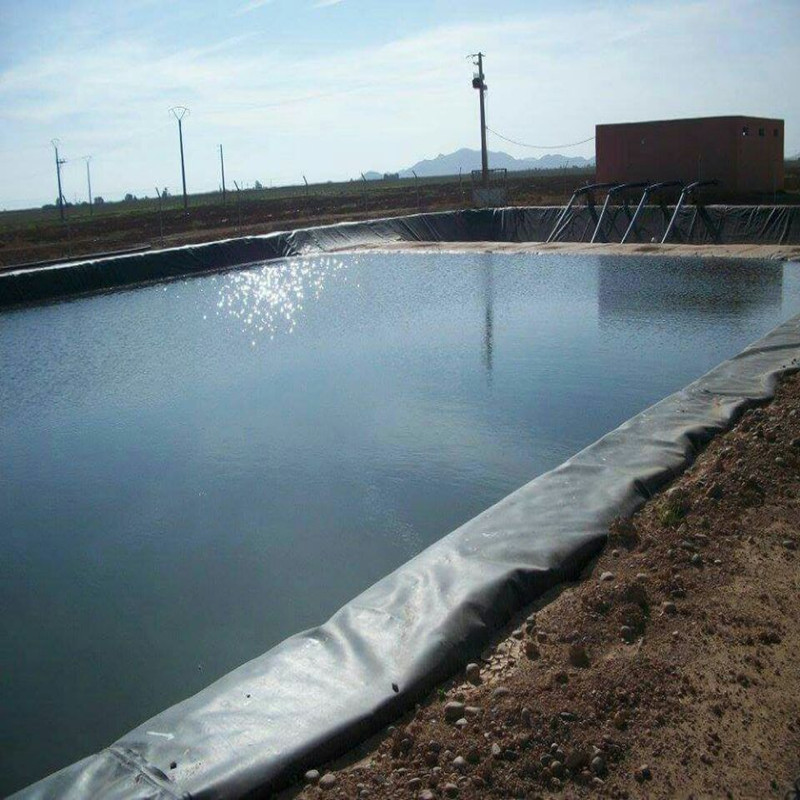 Customizable Pond Plastic Liner HDPE Geomembrane PVC Waterproof Membrane