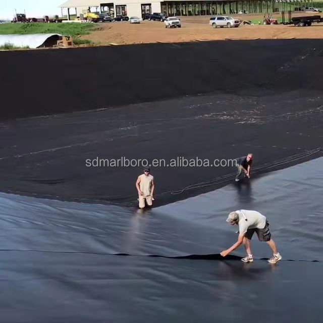 SDM 1.5mm 2mm Thick Black/Blue HDPE Plastic Geomembrane for Fish Farming Dam Water Tank Pond Liner